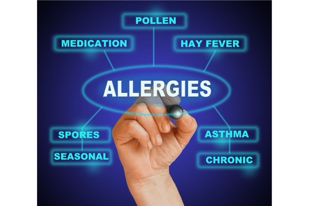 Sneezing chinchilla Dust, or Something More Serious? Chinchillas101